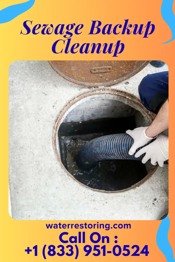 Sewage Backup Cleanup in Kimberling City, MO