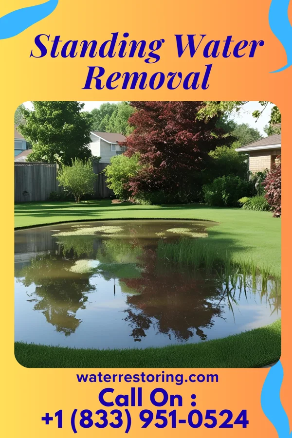 Standing Water Removal in Kimberling City, MO